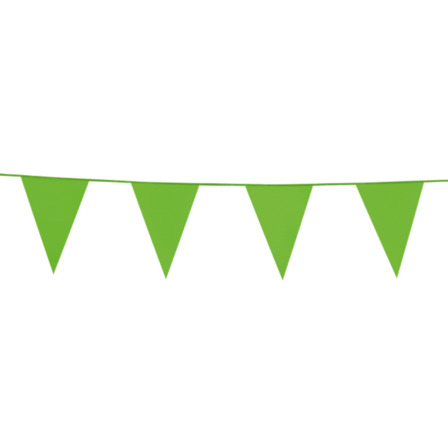Vlaggenlijn 10 meter Licht groen Vlaggenlijn 10 meter Licht groen