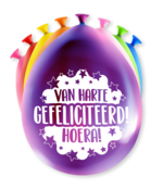 Feest Ballonnen - Gefeliciteerd