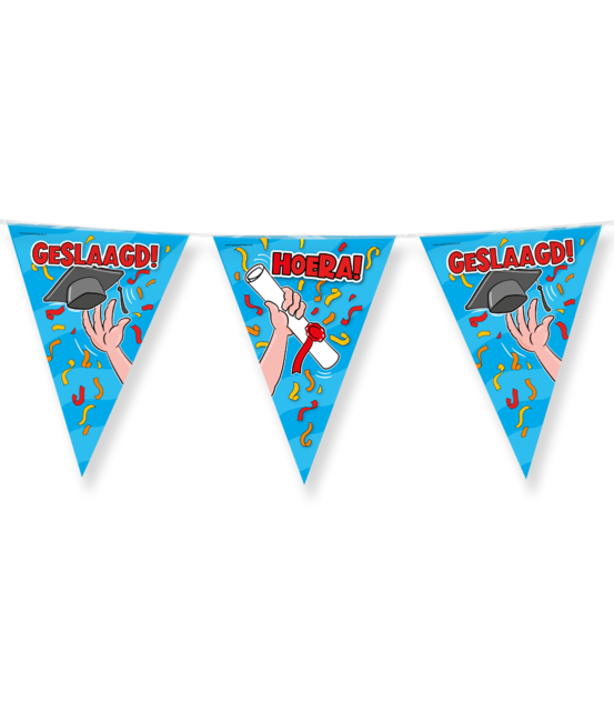 Party Vlaggen - Geslaagd school cartoon - 10 meter Party Vlaggen - Geslaagd school cartoon - 10 meter