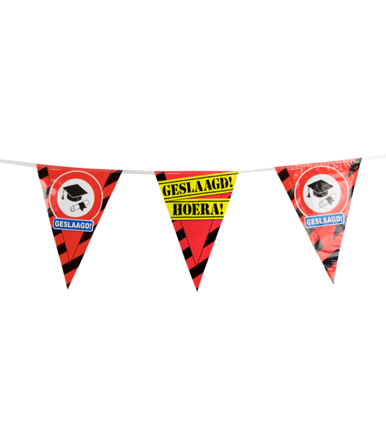 Party vlaggen Geslaagd Verkeersbord 10 meter