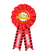 Party Rozet - Geslaagd school