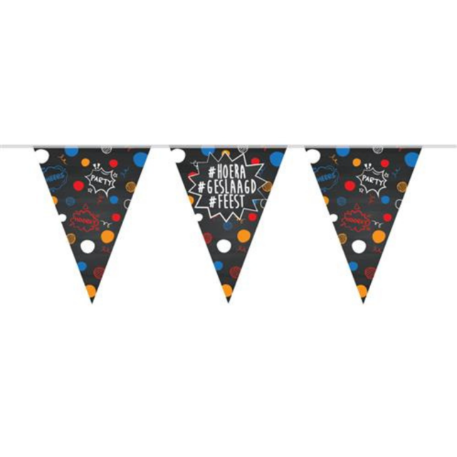 Geslaagd Vlaggetjes slinger 10 meter