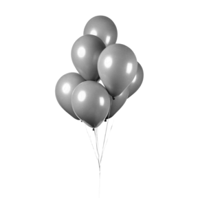Ballonnen Grijs - 10 stuks - 30cm