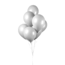 We Fiesta Ballonnen Wit - 25 stuks - 30cm