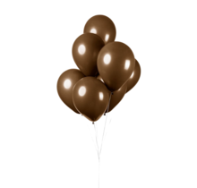Aggregaat Belang Beugel Bruine ballonnen 50 stuks 30cm