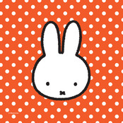 Servetten Nijntje papier 25x25cm 20 stuks