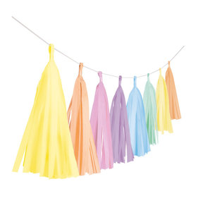Tassel slinger Pastel Regenboog - 3 meter