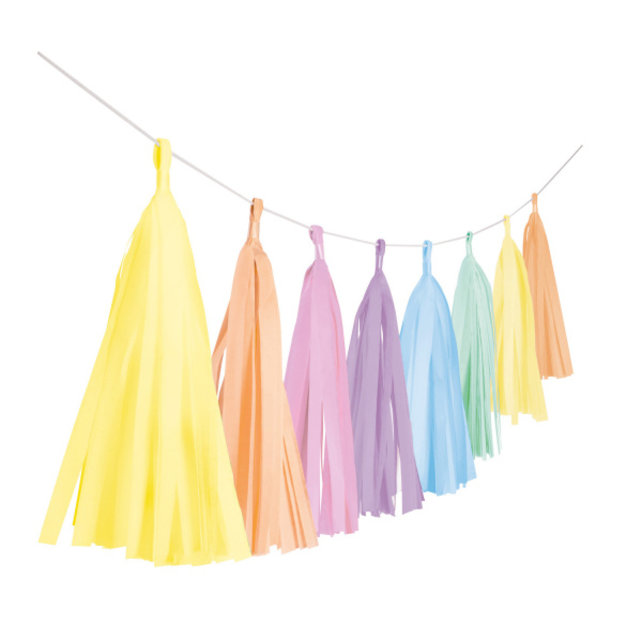 Tassel slinger Pastel Regenboog - 3 meter