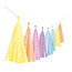 Amscan Tassel slinger Pastel Regenboog - 3 meter