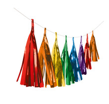 Tassel slinger Metallic Regenboog - 3 meter