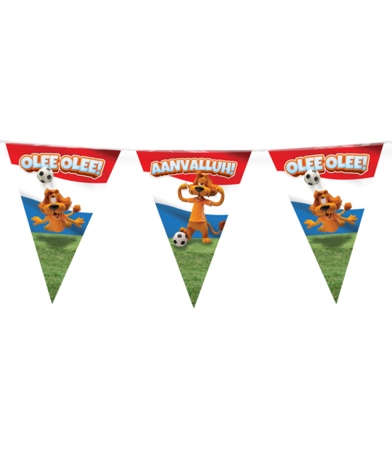 Loeki de Leeuw Partyvlaggen rood wit blauw voor WK of EK