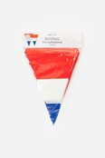 Vlaggetjes slinger Nederland