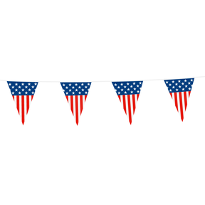 Vlaggetjes slinger Amerika