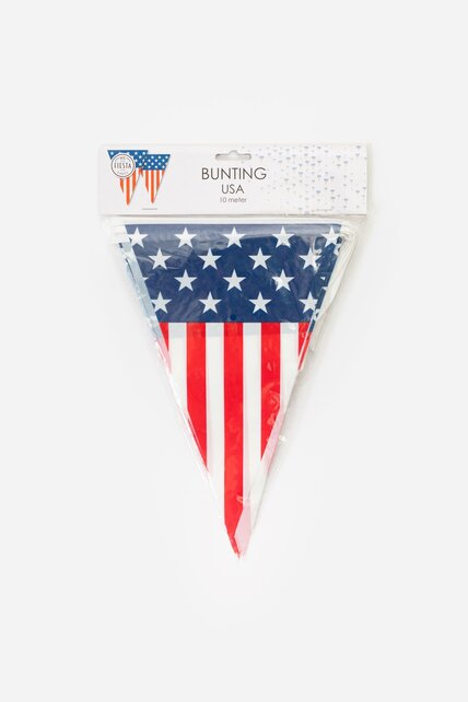 Vlaggetjes slinger Amerika