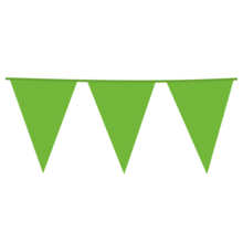 Vlaggenlijn lime groen XL