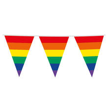 Vlaggenlijn regenboog XL