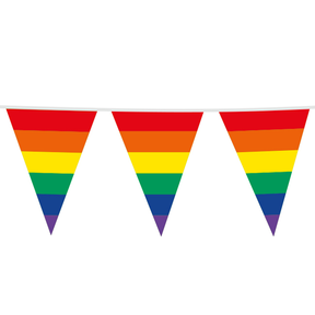 Vlaggenlijn regenboog XL