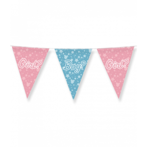 Gender Reveal - Vlaggenlijn - 10 meter