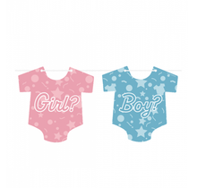 Gender Reveal - Romper Banner - 6 meter