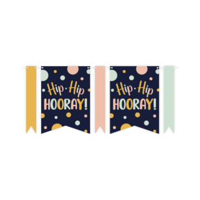 Hip Hip Hooray - Vlaggenlijn - 6 meter