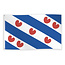 We Fiesta Vlag Friesland 150x90cm