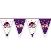 Vlaggenlijn geslaagd 6 meter