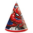 Spiderman feest hoedjes