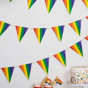 Regenboog vlaggenlijn 5 meter