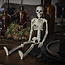 Ginger Ray Groot hangend halloween skelet - 35cm