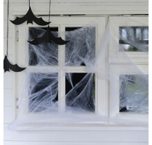 Spinneweb Halloween