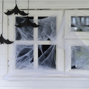 Spinneweb Halloween