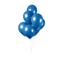 Ballonnen Royal Blauw - 10 stuks - 30cm