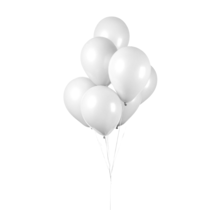 Ballonnen Wit - 50 stuks - 30cm