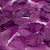 Rozenblaadjes Paars - 144 stuks