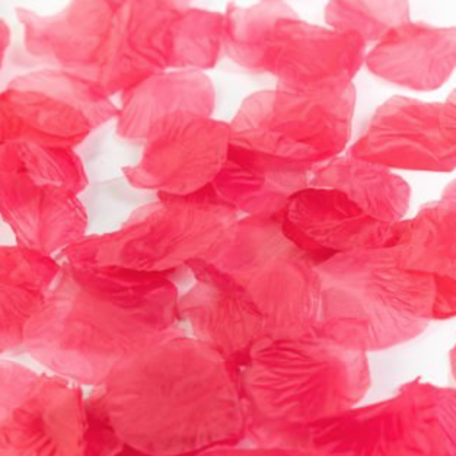 Rozenblaadjes Donker Roze - 144 stuks Rozenblaadjes Donker Roze - 144 stuks