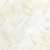 Rozenblaadjes Crème - 144 stuks