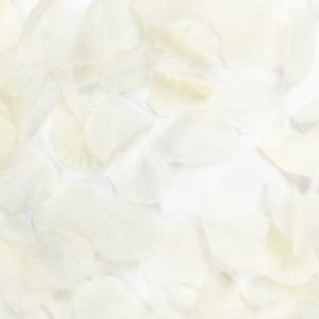 Rozenblaadjes Crème - 144 stuks