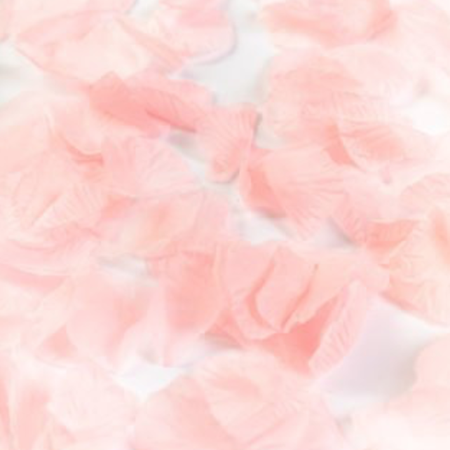 Rozenblaadjes Licht Roze - 144 stuks