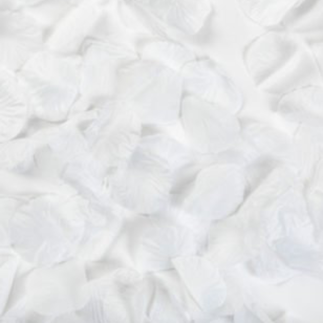 Rozenblaadjes Wit - 144 stuks