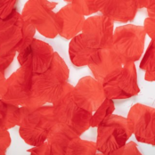 Rozenblaadjes Rood - 144 stuks