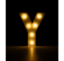 Light Letter -Y