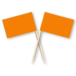 Cocktail Prikkers - Oranje - 50 stuks