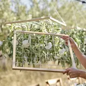 Houten hangdecoratieframes Sage Wedding Houten hangdecoratieframes Sage Wedding