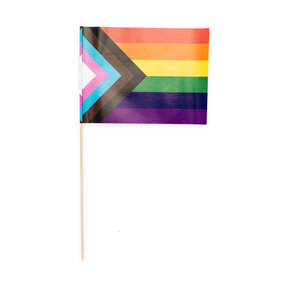 10 papieren zwaaivlaggen pride 20x30cm