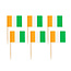 WeFiesta 50 prikkers vlag Ierland