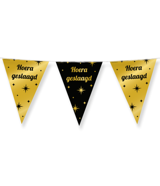 Hoera Geslaagd - Vlaggenlijn 10 meter - Classy Party