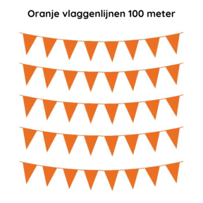 Oranje vlaggenlijnen 100 meter