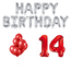 Feest-vieren 14 jaar Verjaardag Versiering Ballon Pakket rood & zilver Feest-vieren 14 jaar Verjaardag Versiering Ballon Pakket rood & zilver