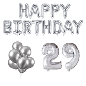 29 jaar Verjaardag Versiering Ballon Pakket zilver