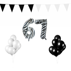 67 jaar Verjaardag Versiering Pakket Zebra